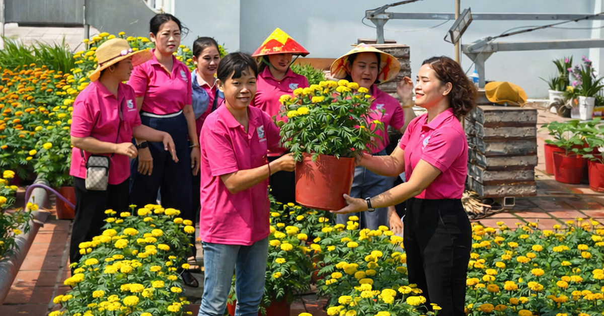 Sân thượng chung cư biến thành 'vườn xuân' 1.000 chậu hoa