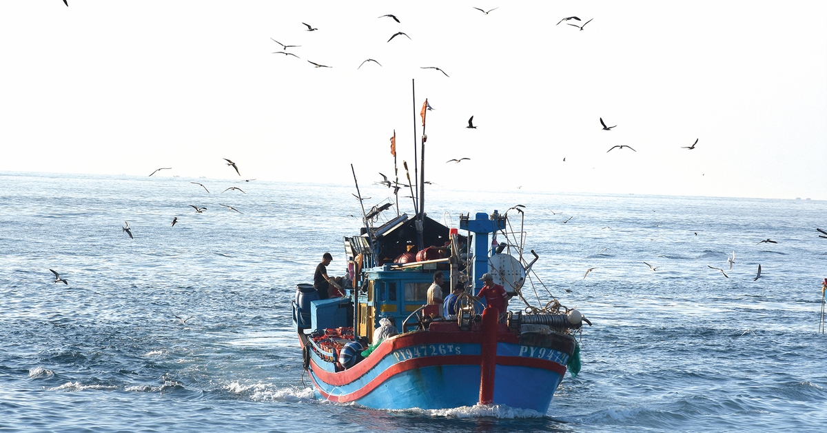 Ngàn năm trước biển