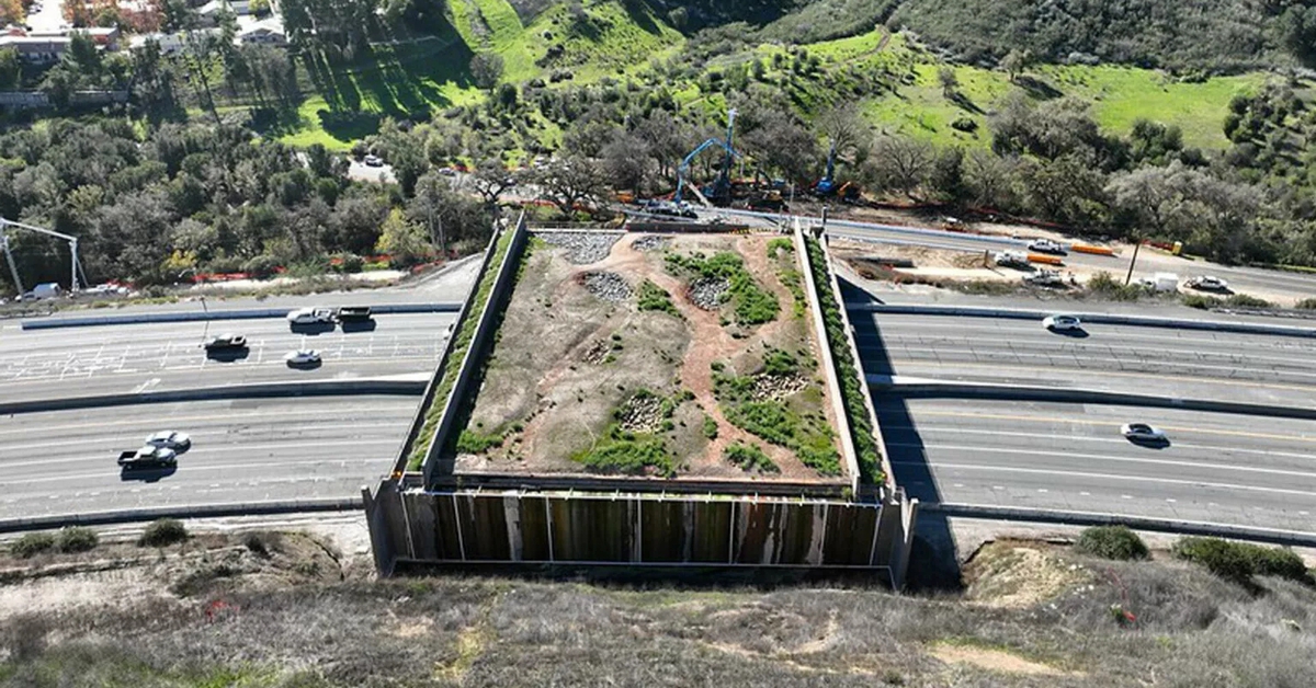 Cầu vượt 494 tỉ đồng nhưng không xe nào được phép đi qua