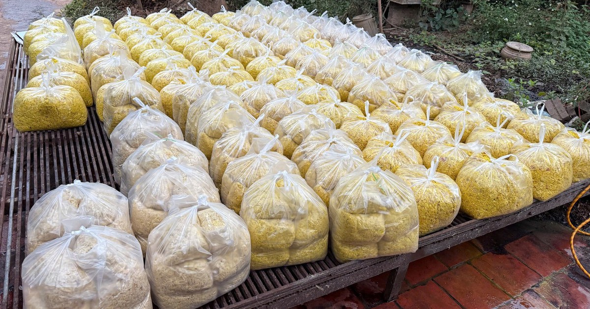 Hàng tấn riềng xay trộn chất gây ung thư: Chủ cơ sở làm riềng 'vàng đẹp, tươi lâu' thế nào?