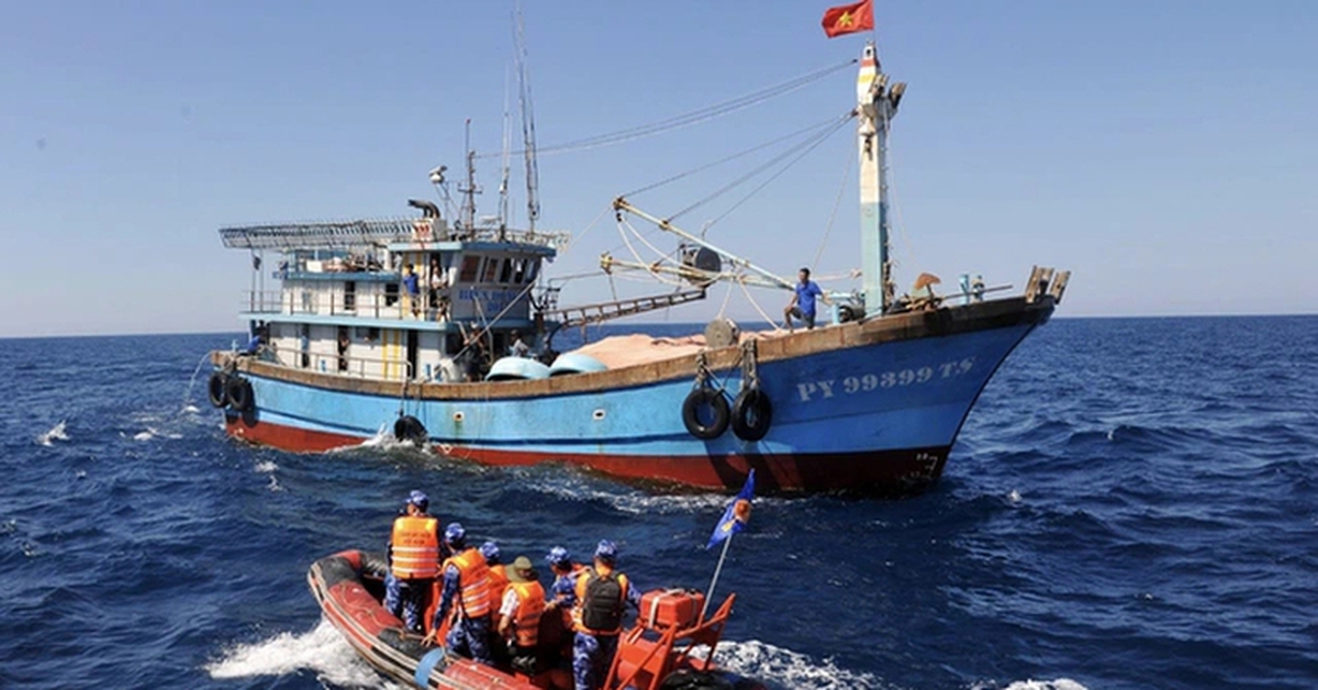 Hai năm, TP.HCM xử lý 830 tàu cá khai thác thủy sản bất hợp pháp