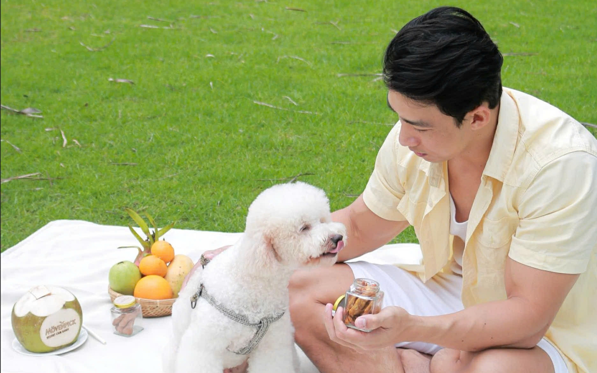 Khách sạn 'o bế' thú cưng dịp Tết