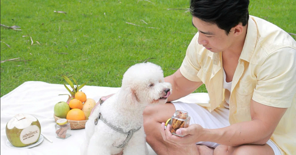 Khách sạn 'o bế' thú cưng dịp Tết