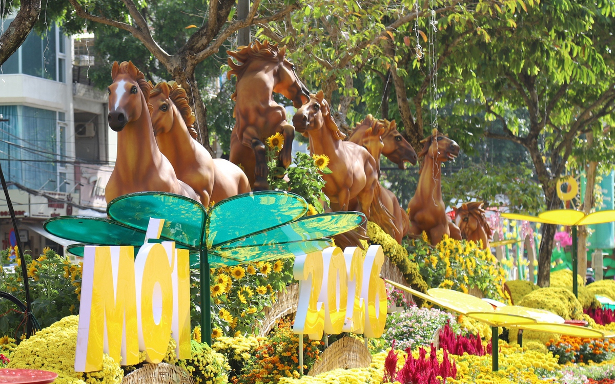 Ngắm đường hoa nghệ thuật Cần Thơ trước 'giờ G'