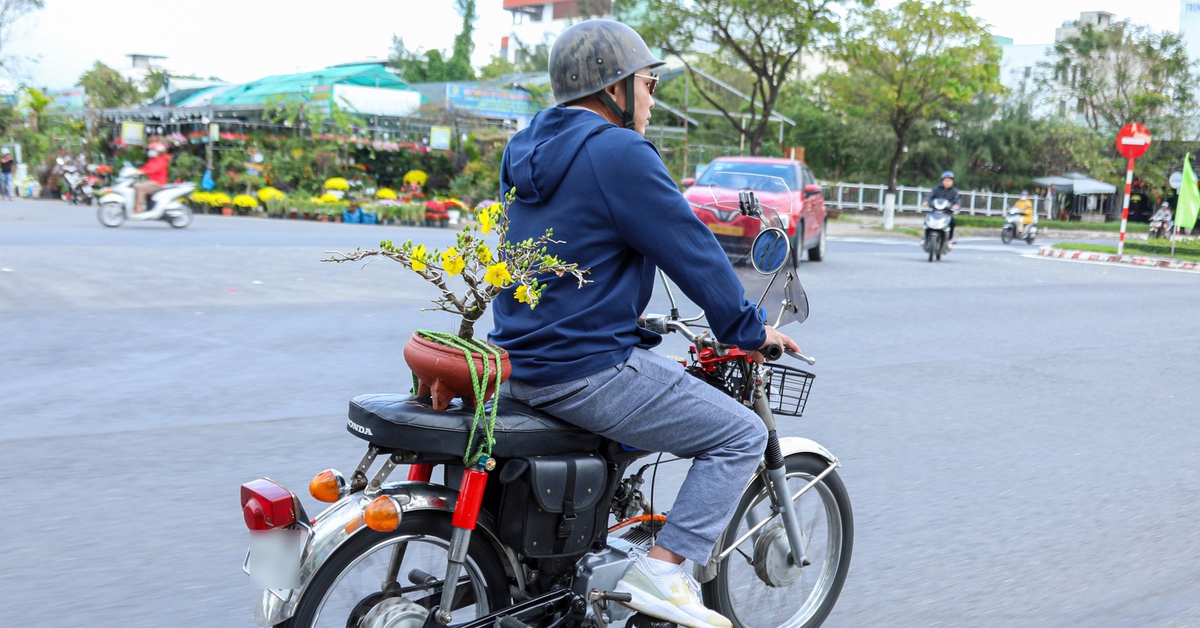 Người dân Đà Nẵng rộn ràng chở mùa xuân về nhà