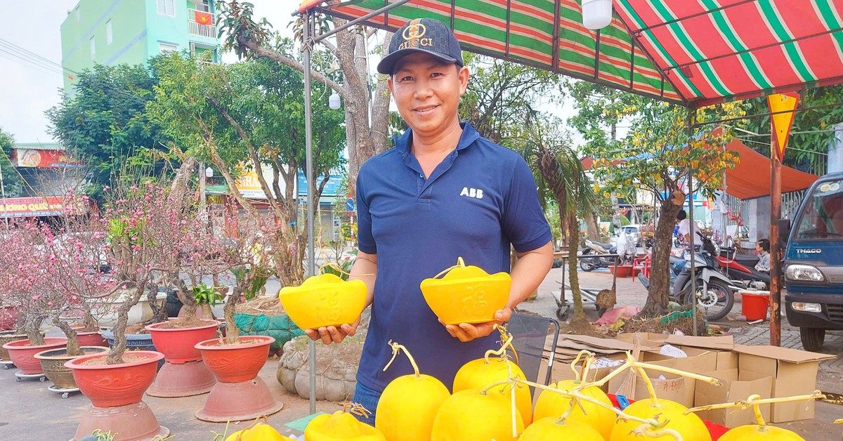 Dưa hấu vuông, dưa hấu thỏi vàng có chữ tài, lộc đắt hàng ngày Tết