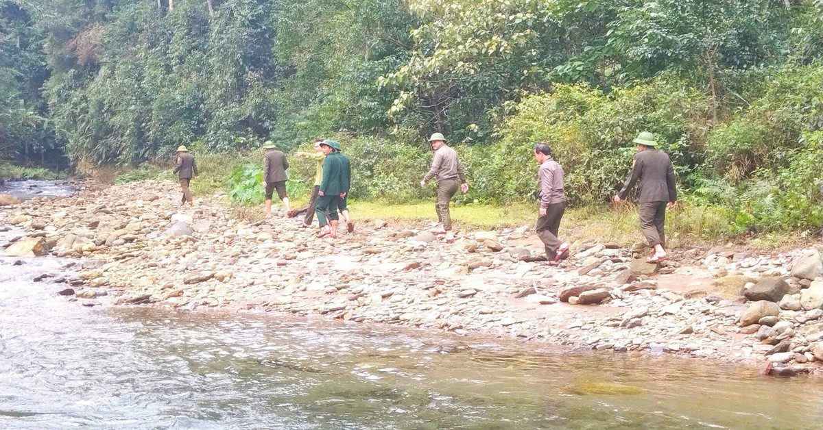 Thầm lặng những bước chân giữ rừng ngày giáp Tết