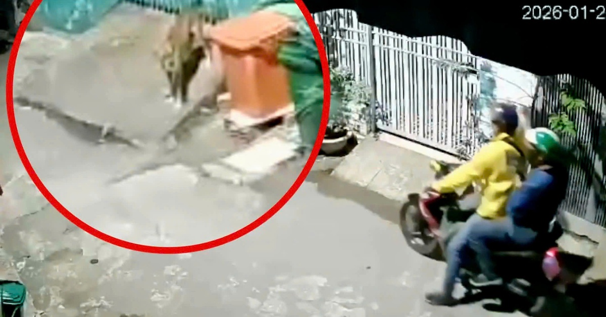 Bắt 2 người dùng súng điện tự chế trộm chó ở An Khánh, TP.HCM