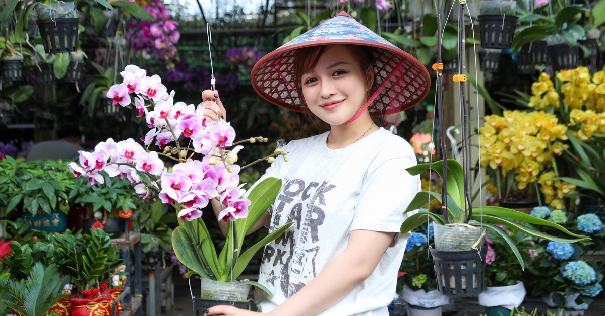 Ngắm phố phường Đà Nẵng rực rỡ sắc xuân, thị trường hoa Tết sôi động