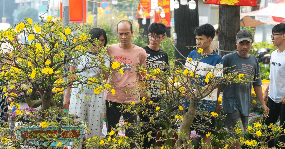 Chợ hoa Tết sôi động ngày 27 tháng Chạp, sức mua khởi sắc