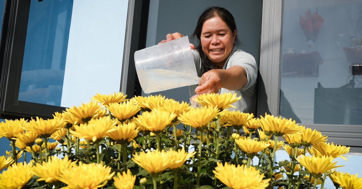 Tết đã gõ cửa những 'mái nhà Quang Trung': 'Niềm vui này lớn quá, mấy đêm nay không ngủ được!'