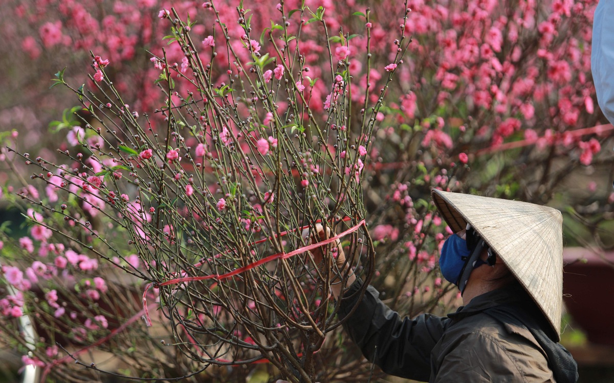 Việt Nam còn đón giao thừa vào 29 Tết thêm mấy năm nữa?