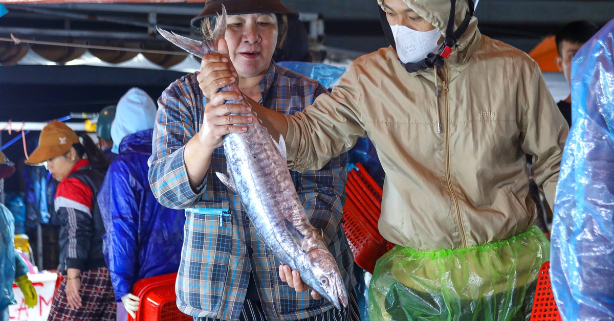 Thị trường cá thu ở Đà Nẵng nhộn nhịp trước Tết, giá thế nào?