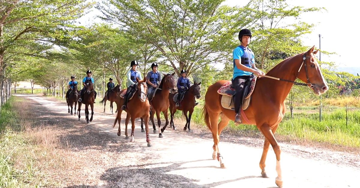 Thiên Mã - Madagui: Nhịp vó ngựa mở lối, đánh thức vùng đất đại ngàn