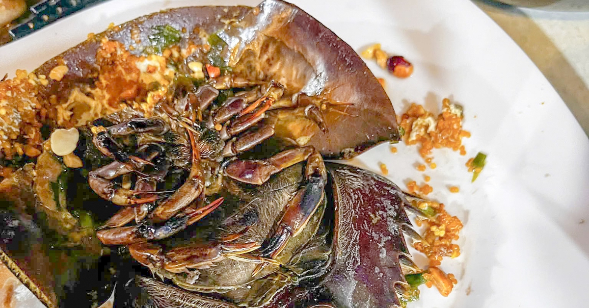 Ra quán kêu con sam, 3 người ăn nghi bị ngộ độc con so