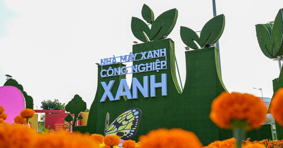 Đường hoa xuân Đồng Tháp tạo dấu ấn mạnh mẽ về thông điệp xanh