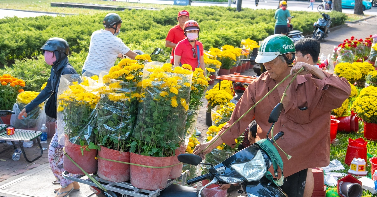 29 Tết rực nắng, hoa Tết TP.HCM đồng loạt hạ giá