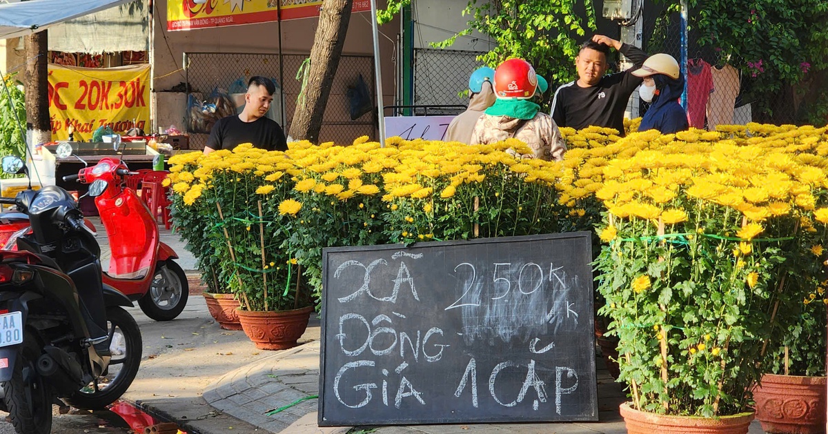 Sức mua yếu, chợ hoa Tết Quảng Ngãi ế ẩm, tiểu thương đồng loạt xả hàng chiều 29 tháng chạp