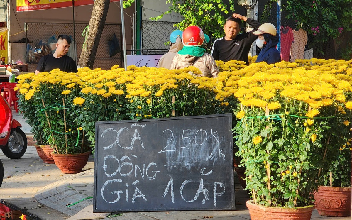 Sức mua yếu, chợ hoa Tết Quảng Ngãi ế ẩm, tiểu thương đồng loạt xả hàng chiều 29 tháng chạp