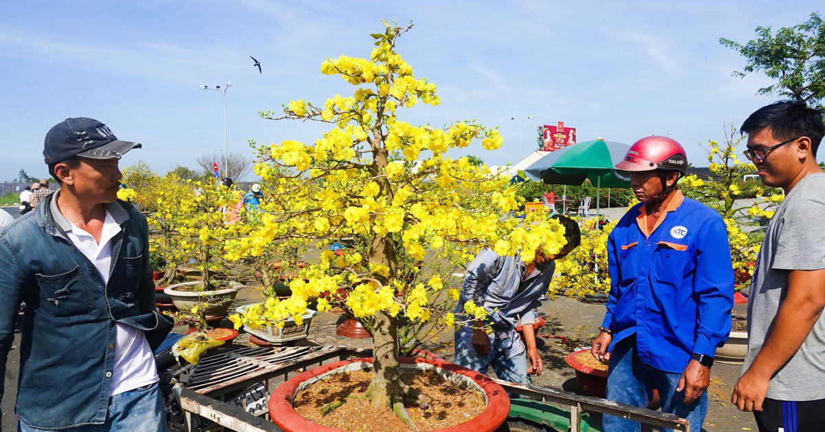 Những chuyến xe 'chở Tết' của người lao động nghèo ở vùng đất biển An Giang