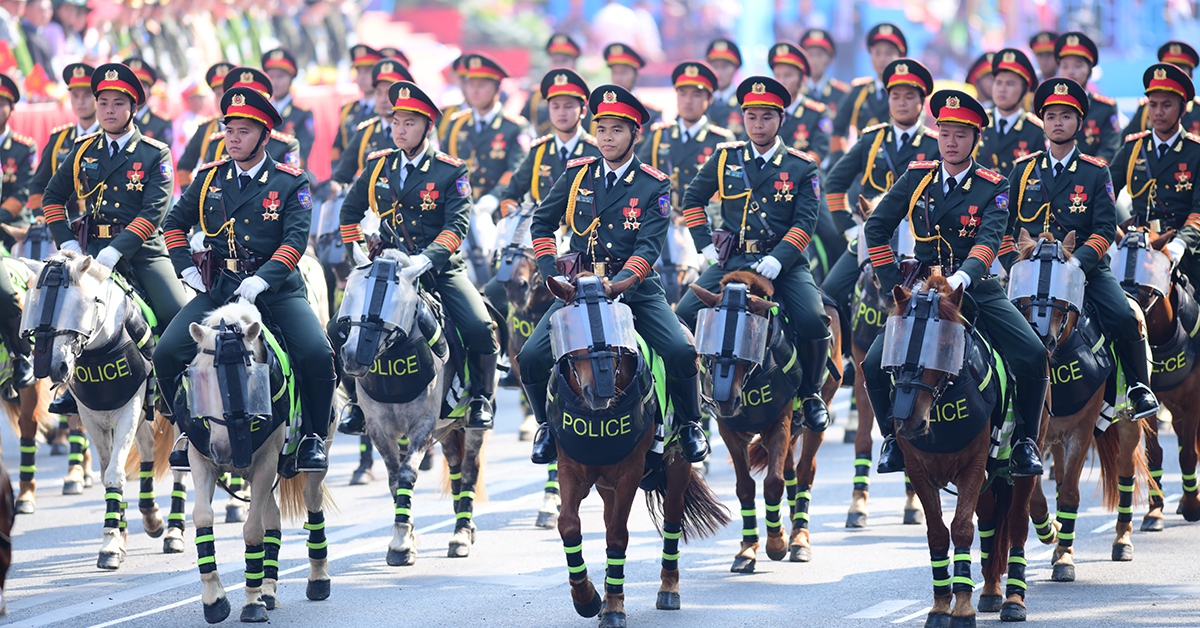 Lược sử thuần hóa, hàng ngàn năm người và ngựa thành đồng đội