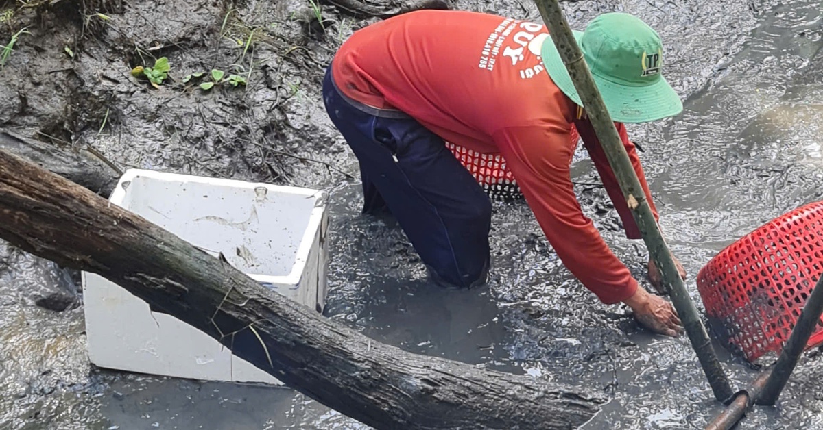 Tát mương ăn Tết với những món cây nhà lá vườn