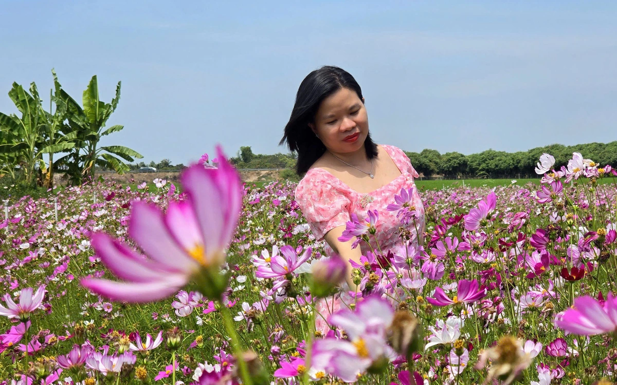 Hàng chục ngàn lượt khách đổ về 'nóc nhà miền Tây' mùng 2 Tết