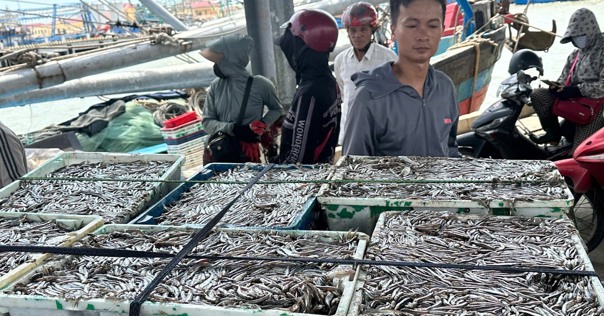 Những món ăn giúp tăng cường sức khỏe cho làn da, giúp bạn sẵn sàng một năm làm việc mới