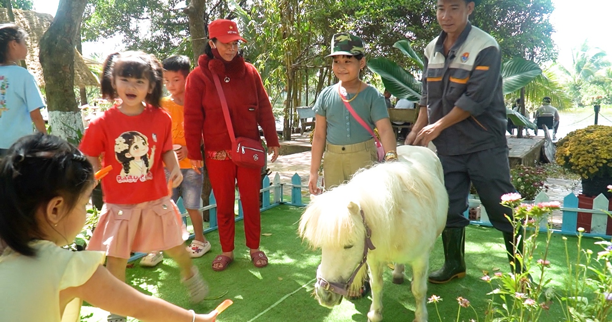 Đến Trại rắn Đồng Tâm ngắm ngựa lùn Pony