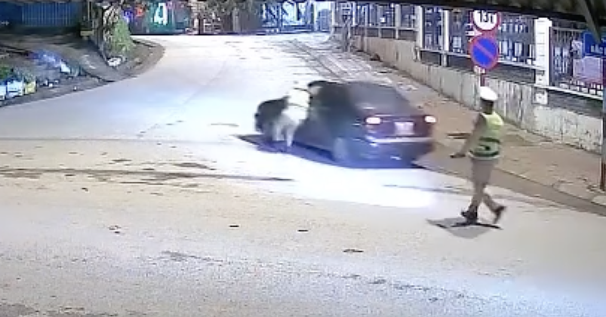 Bị kiểm tra nồng độ cồn, tài xế kéo kính xe kẹp tay CSGT rồi tăng ga bỏ chạy