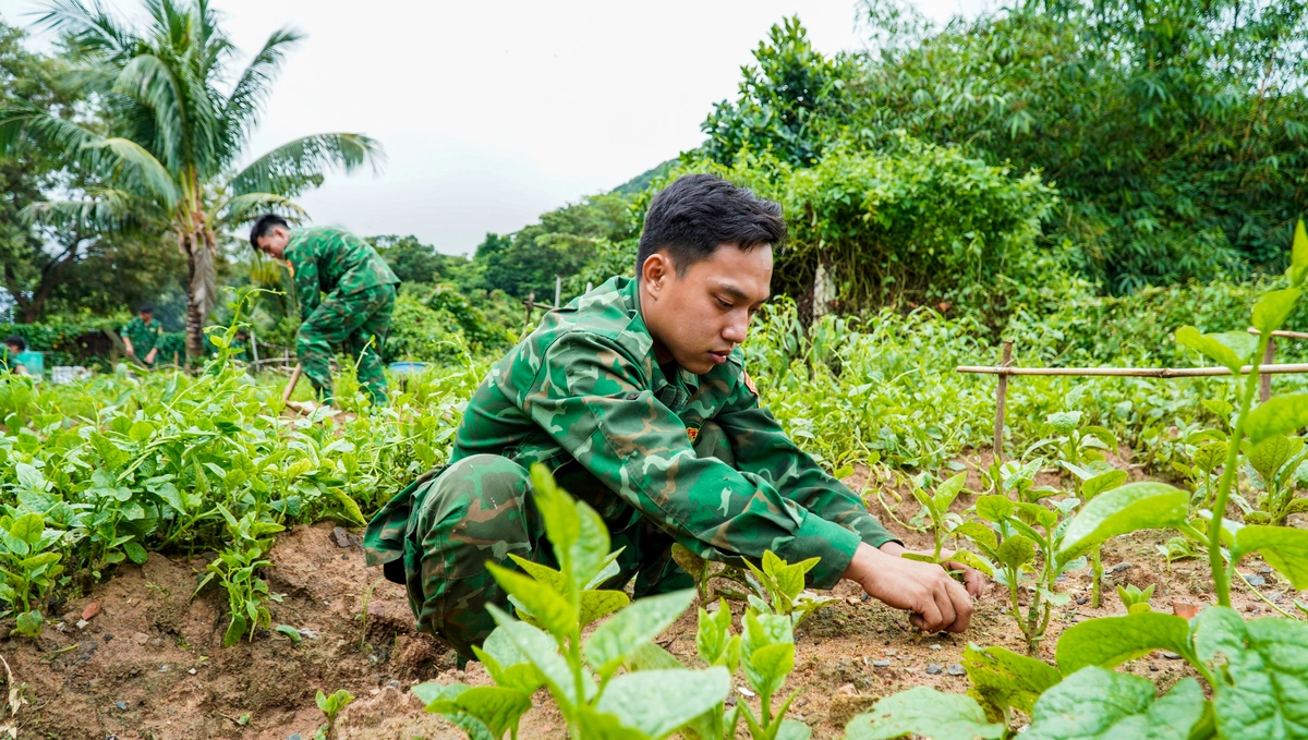 Phủ xanh đảo tiền tiêu giữa trùng khơi gió mặn