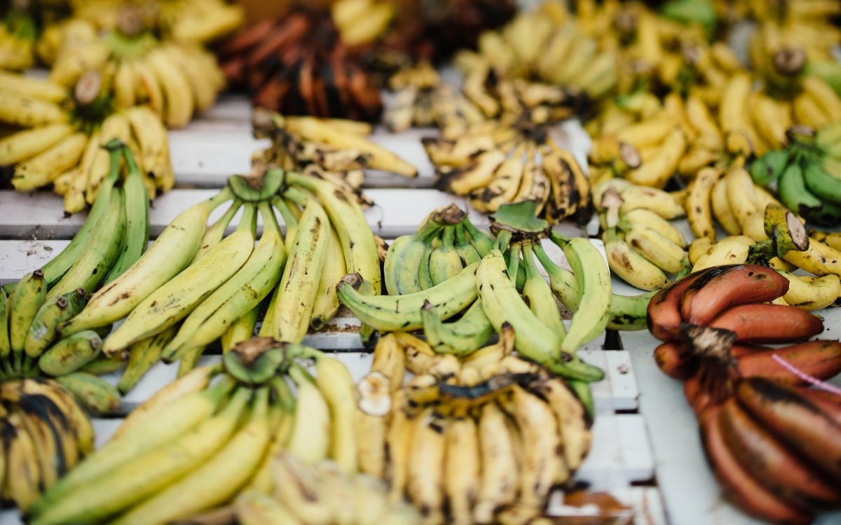 Loại trái cây phổ biến nhất thế giới đối mặt nguy cơ biến mất