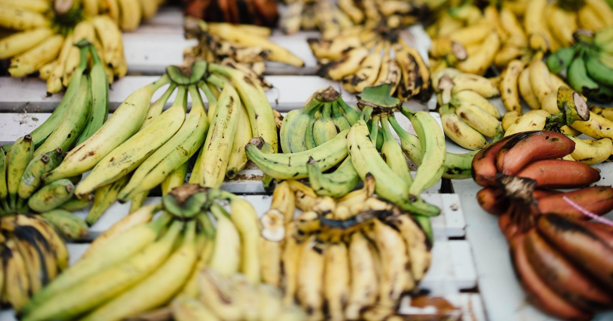 Loại trái cây phổ biến nhất thế giới đối mặt nguy cơ biến mất