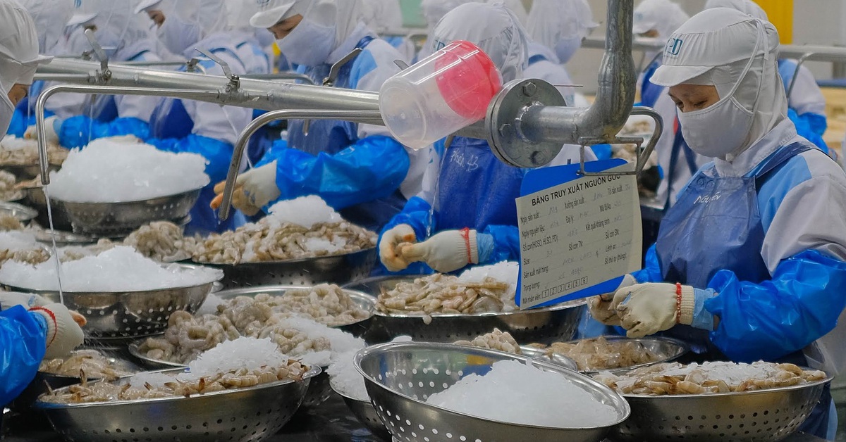 Mỹ công bố mức áp thuế chống bán phá giá đối với tôm Việt Nam