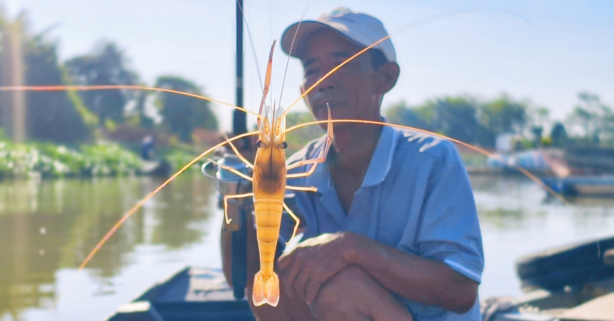 Nhộn nhịp cần thủ khai xuân trên sông Hậu, tỉnh An Giang