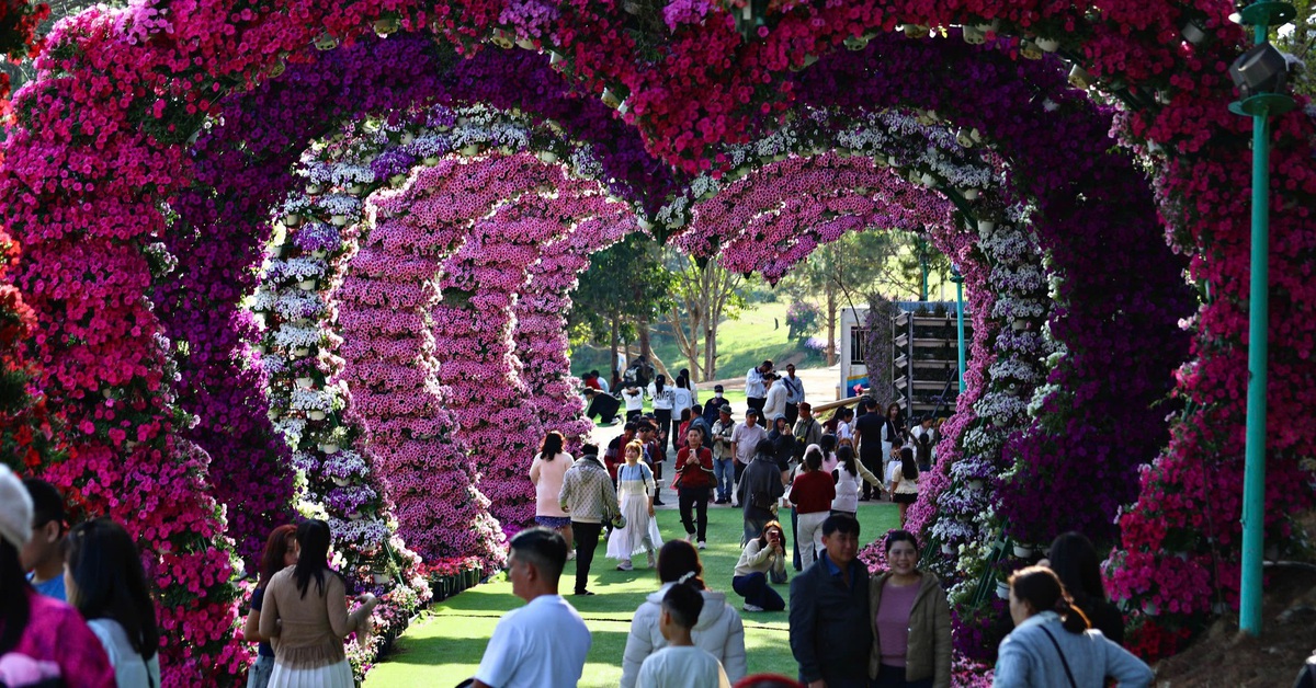 Du lịch Việt bùng nổ dịp Tết