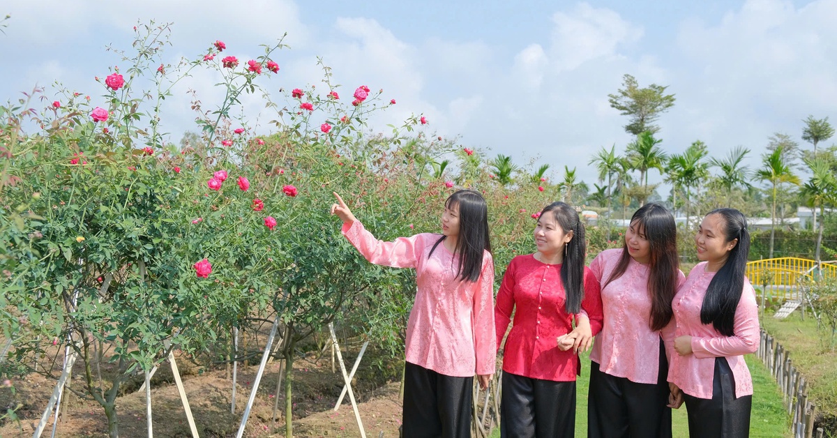 Du lịch miền Tây bội thu dịp Tết, mỗi nơi hút khách một cách riêng