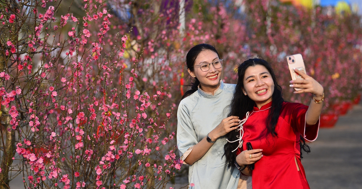 Gieo tử tế cho năm mới bình yên