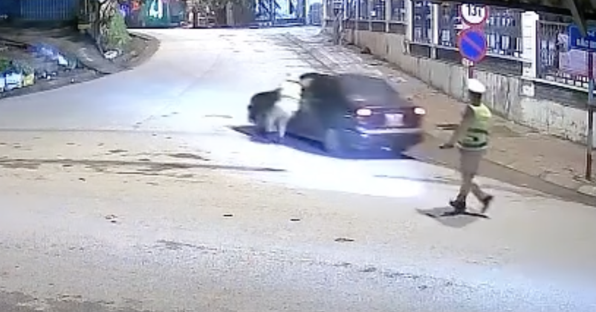 Bắt tạm giam tài xế kéo kính ô tô kẹp tay thiếu tá CSGT rồi tăng ga bỏ chạy