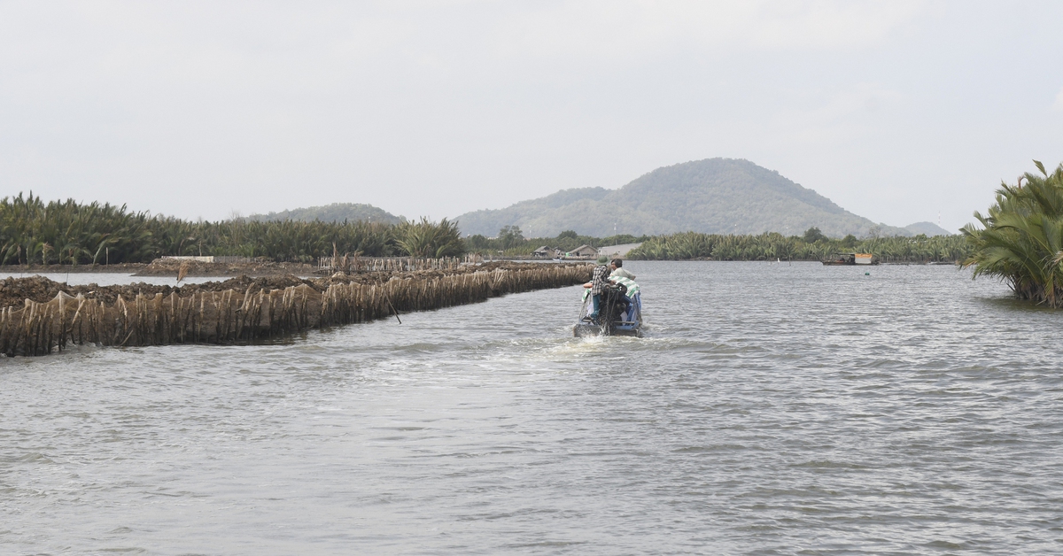 Quyết định cưỡng chế khắc phục hậu quả đối với người bao chiếm đầm Đông Hồ