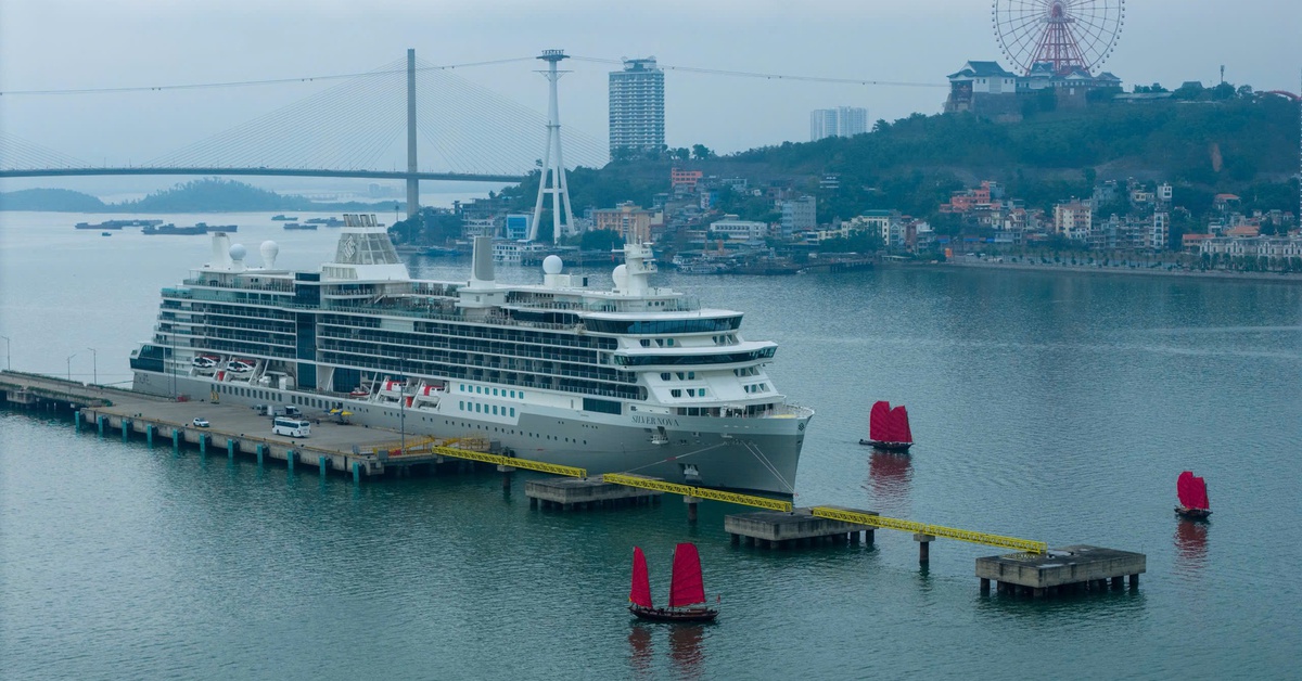 Tiệc âm nhạc chào đón gần 700 du khách trên siêu du thuyền đến Hạ Long