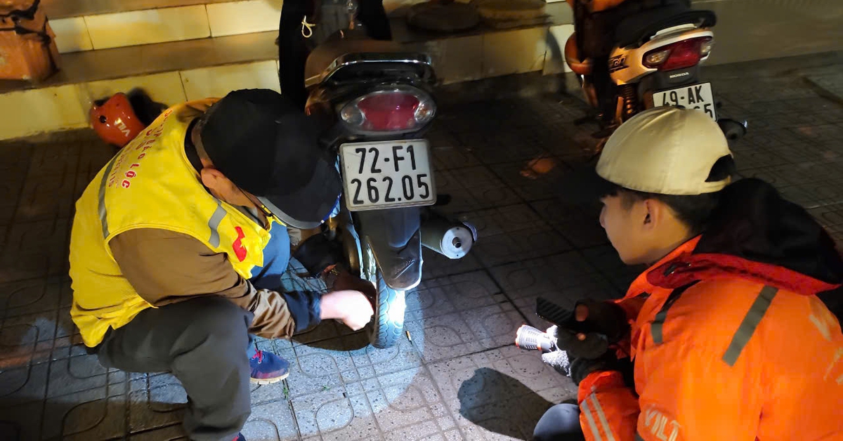 Du xuân thoải mái, du khách hài lòng