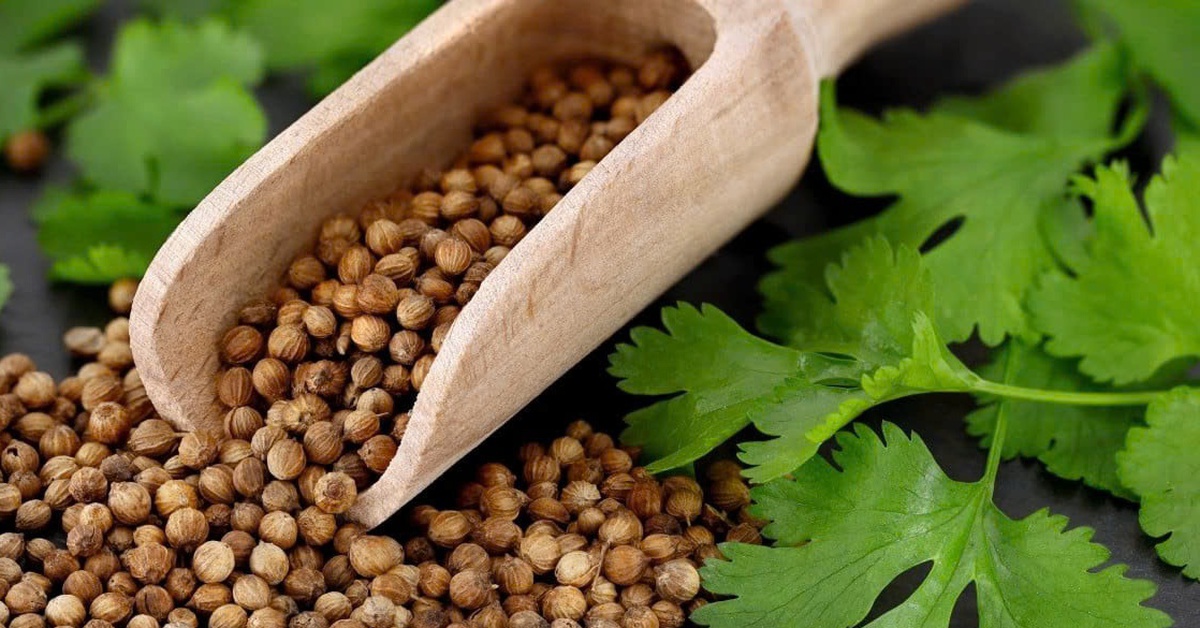 Hôm nay là ngày quốc tế 'ghét rau mùi'