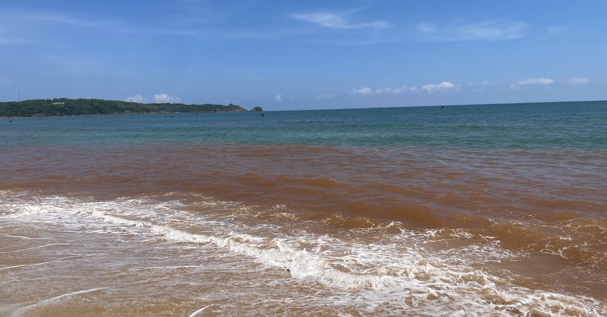 Vụ nước biển đổi sang màu đỏ kỳ lạ tại Gia Lai: Không phải tảo nở hoa