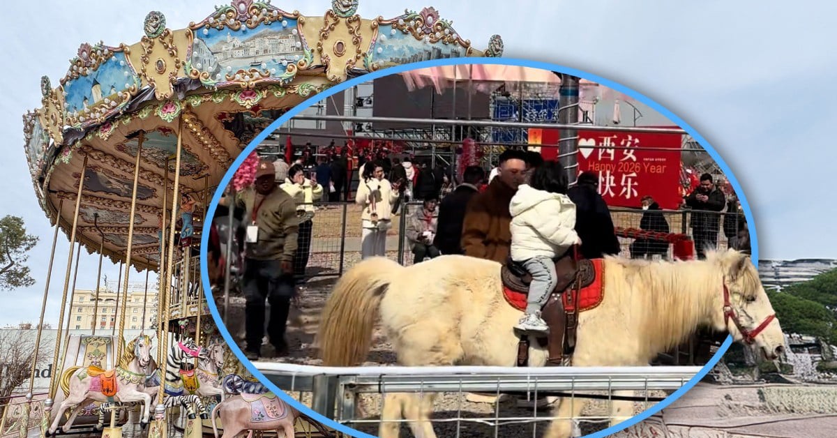 Phẫn nộ trò 'vòng quay ngựa thật' để cầu may ở Trung Quốc