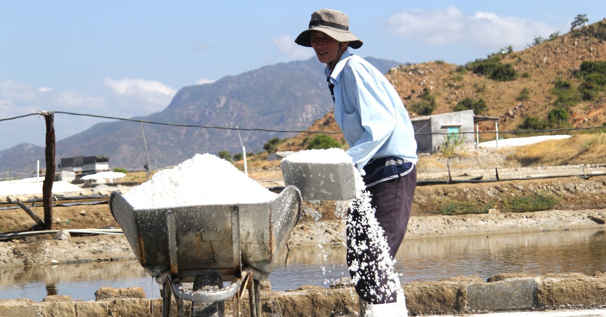 Diêm dân Ninh Thuận cũ vui khi muối được mùa được giá