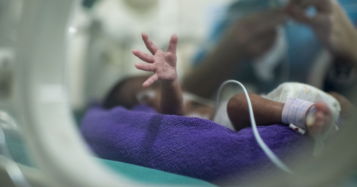 Những sinh linh bé nhỏ bắt đầu cuộc đời bằng một cuộc chiến