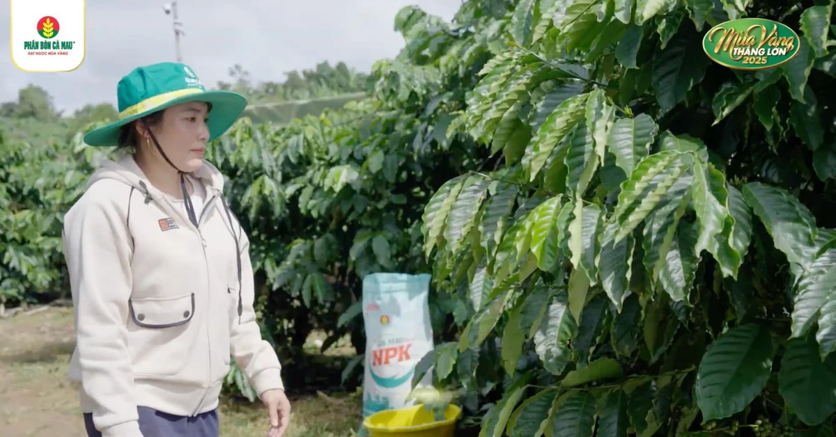 'Nét Đẹp Mùa Vàng Thắng Lớn': livestream đặc biệt tôn vinh chị em nhà nông