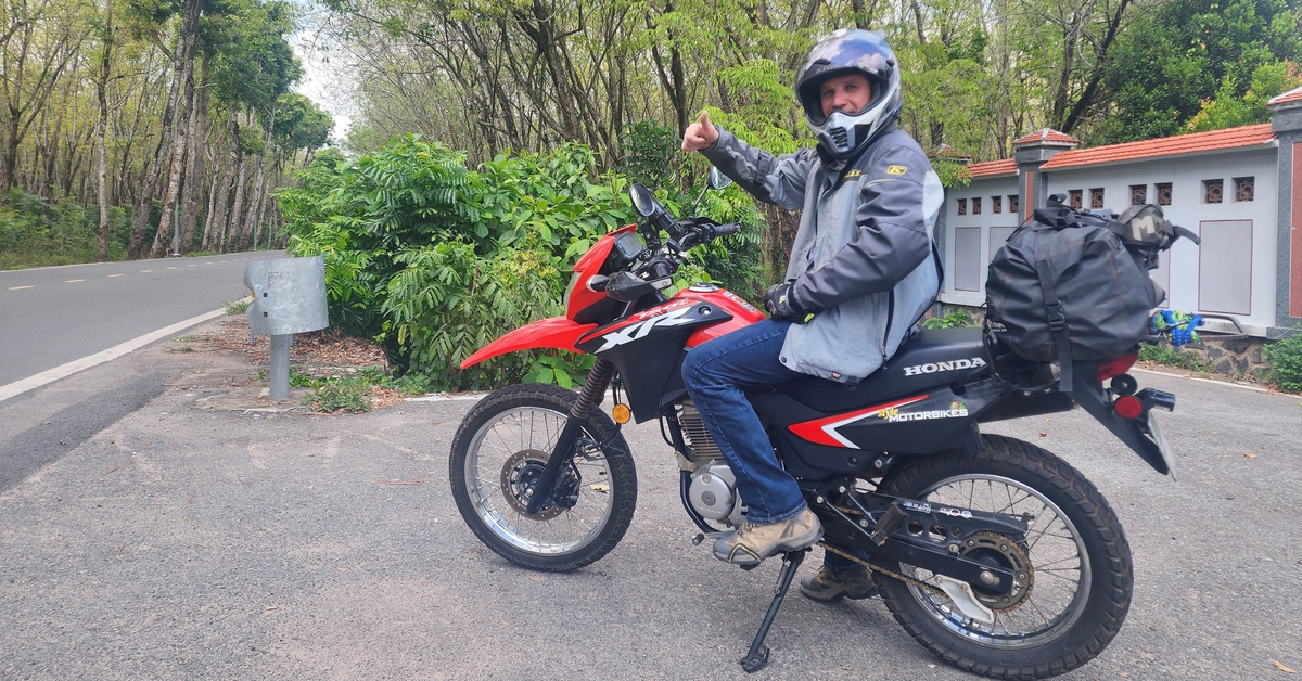 Du khách thích thú với vườn cao su đang thay lá ở TP.HCM