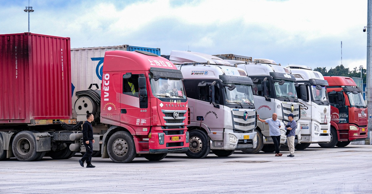 Cần cấp bách có hướng dẫn kiểm tra thực phẩm nhập khẩu bảo đảm khả thi, thông quan kịp thời